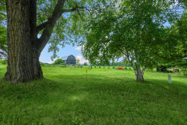 S WHITE POTATO LAKE ROAD, POUND, WI 54161, photo 5 of 24