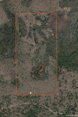 3780 PESHTIGO RIVER RD, LAONA, WI 54541 - Image 1